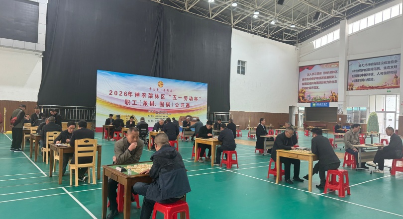 神农架举办“五一劳动杯”职工象棋围棋比赛